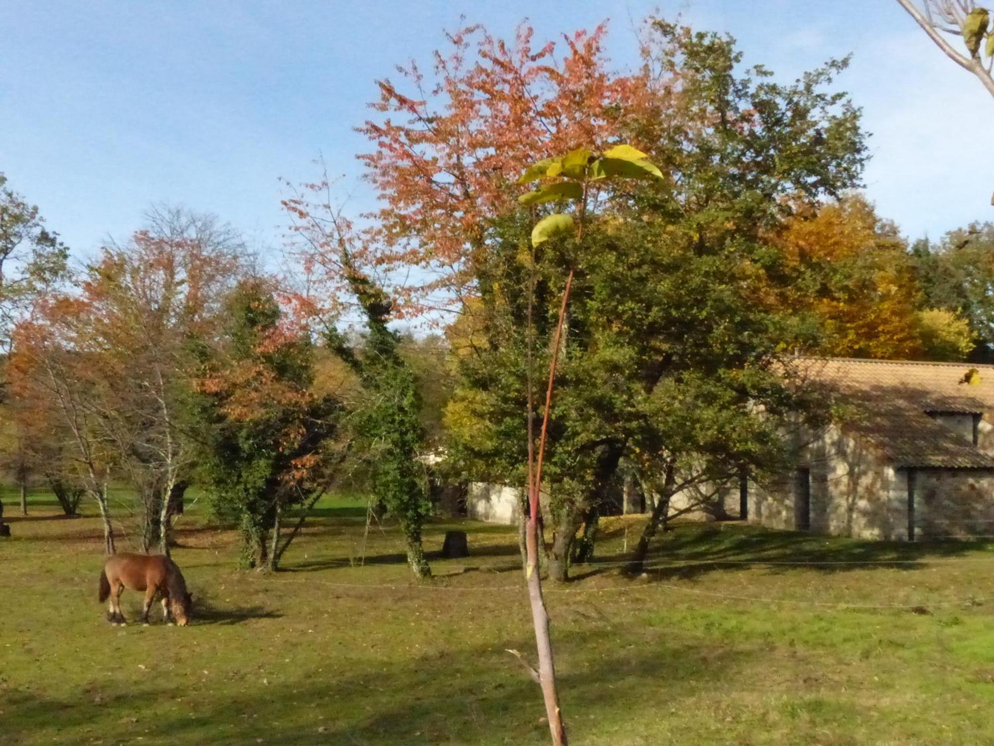 Terres De France - Le Domaine Des Vans Chambonas Εξωτερικό φωτογραφία